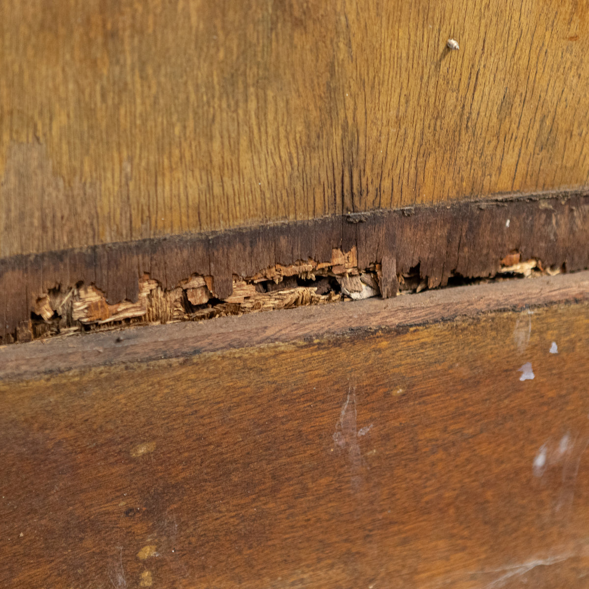 Antique Glazed Double Doors | Reclaimed Pub Doors | The Architectural Forum