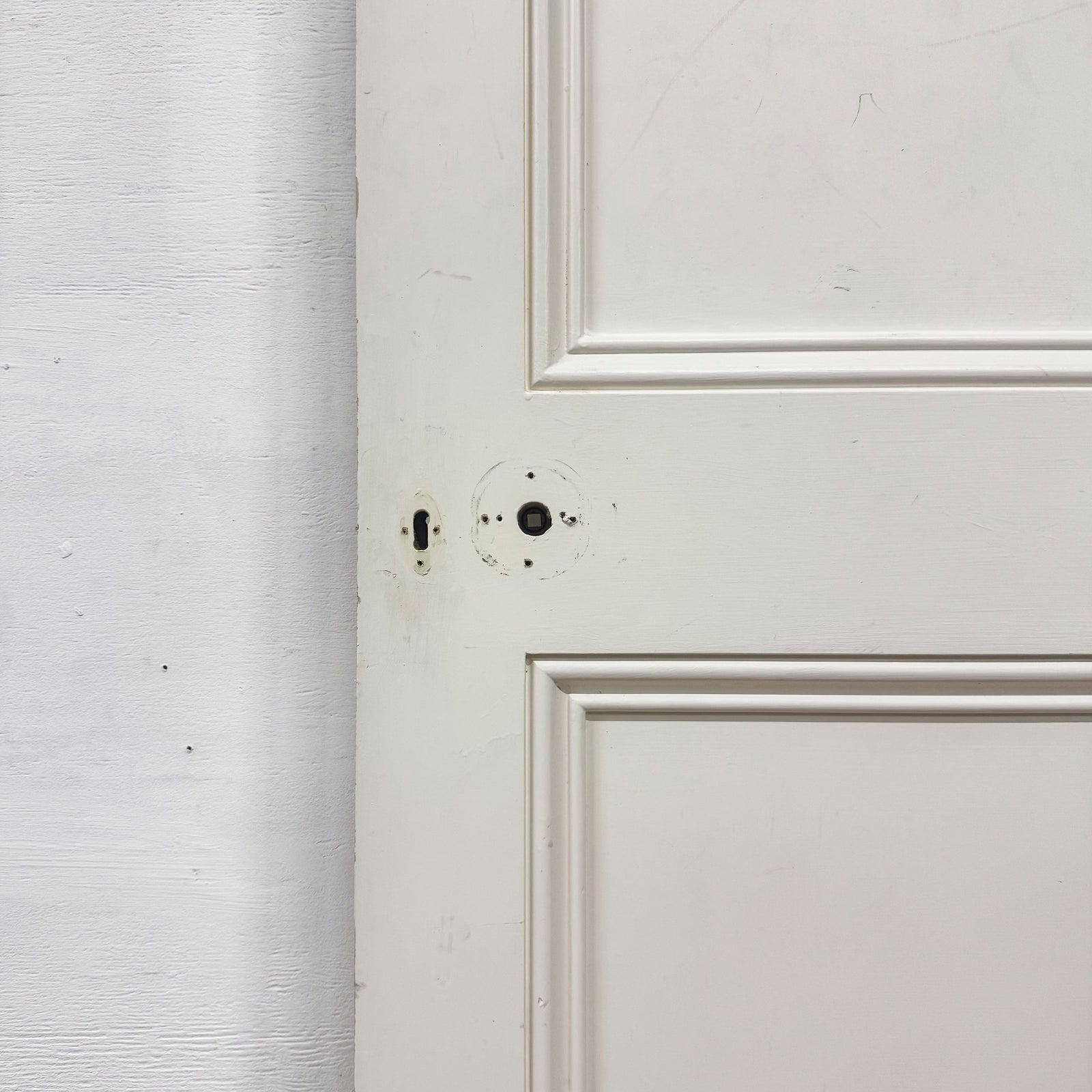 Reclaimed White Tulip Wood 2 Panel Door - 196cm x 72.5cm | The Architectural Forum