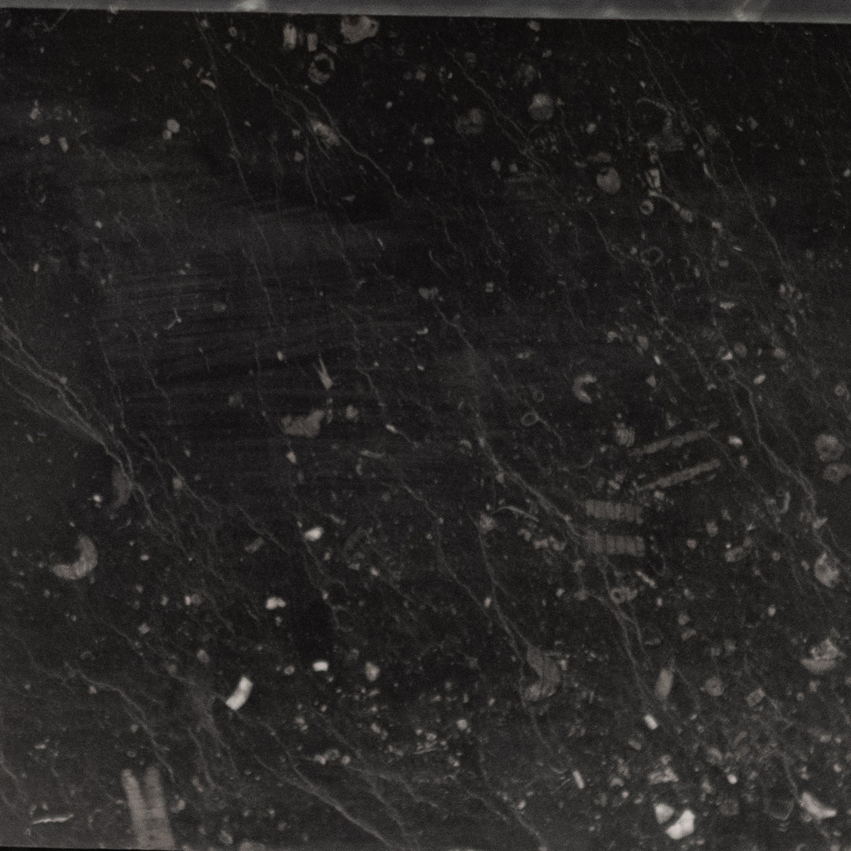 Antique Georgian Belgian Black Marble Fire Surround | Pair Available | The Architectural Forum