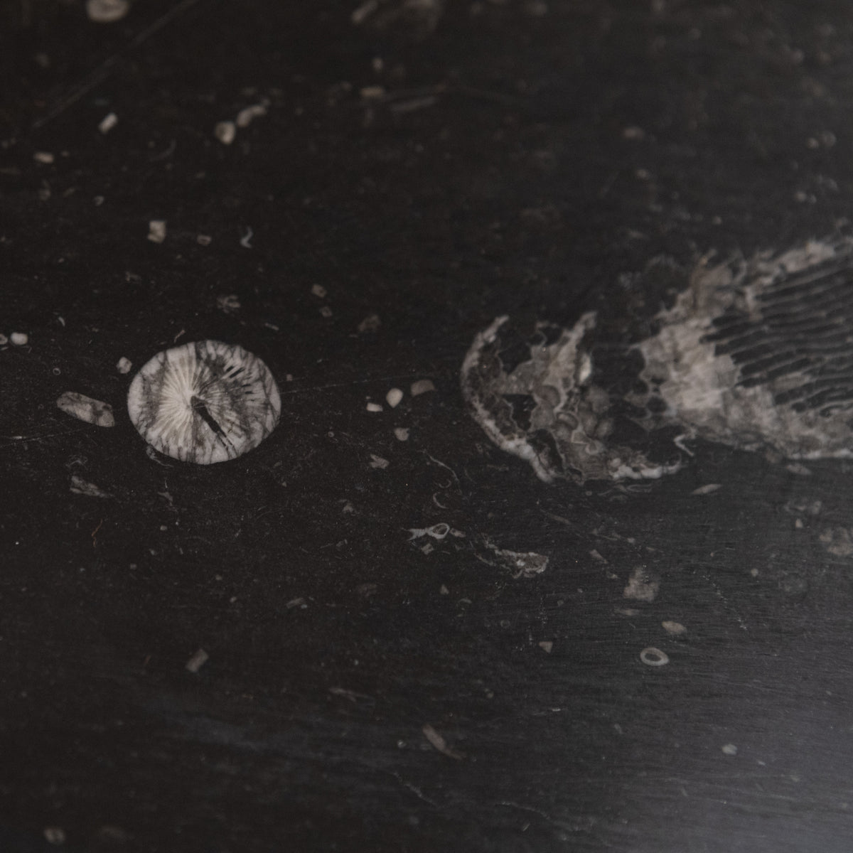 Antique Georgian Belgian Black Marble Fire Surround | Pair Available | The Architectural Forum