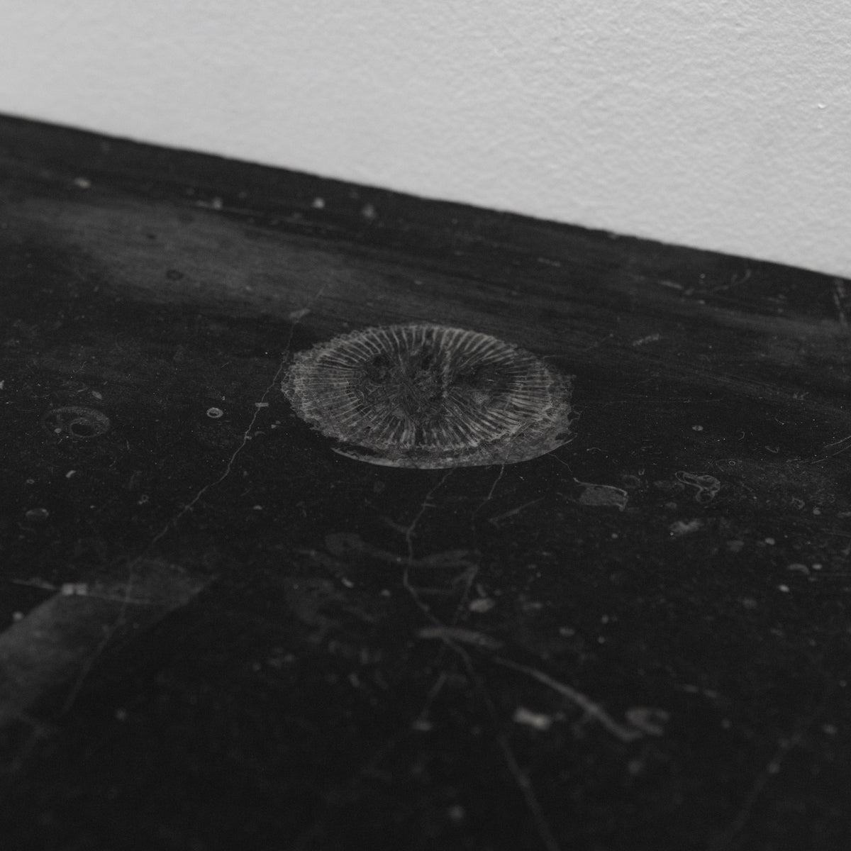 Antique Georgian Belgian Black Marble Fire Surround | Pair Available | The Architectural Forum