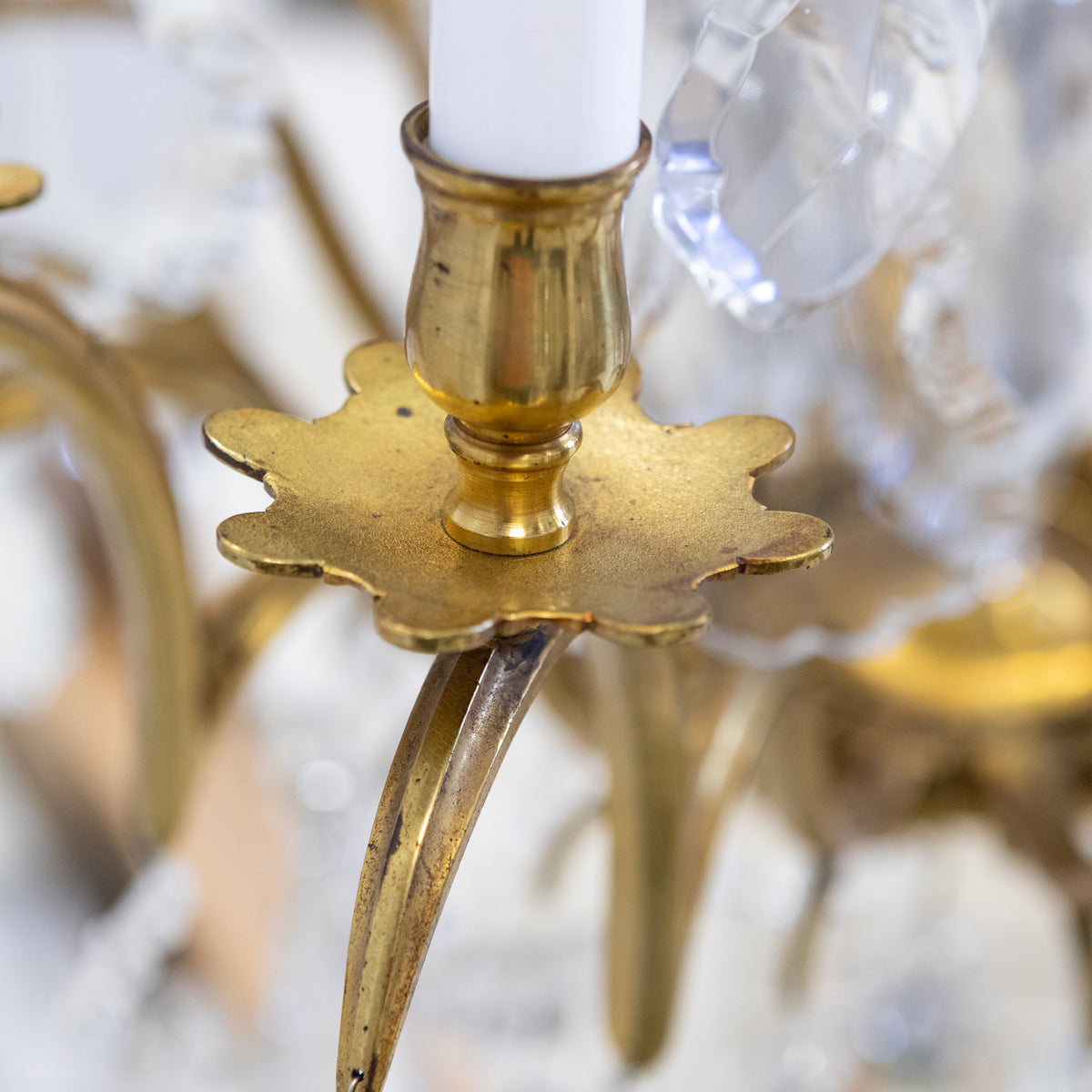 Monumental 16 Arm French Louis XV Style Gilt Brass & Crystal Chandelier | The Architectural Forum