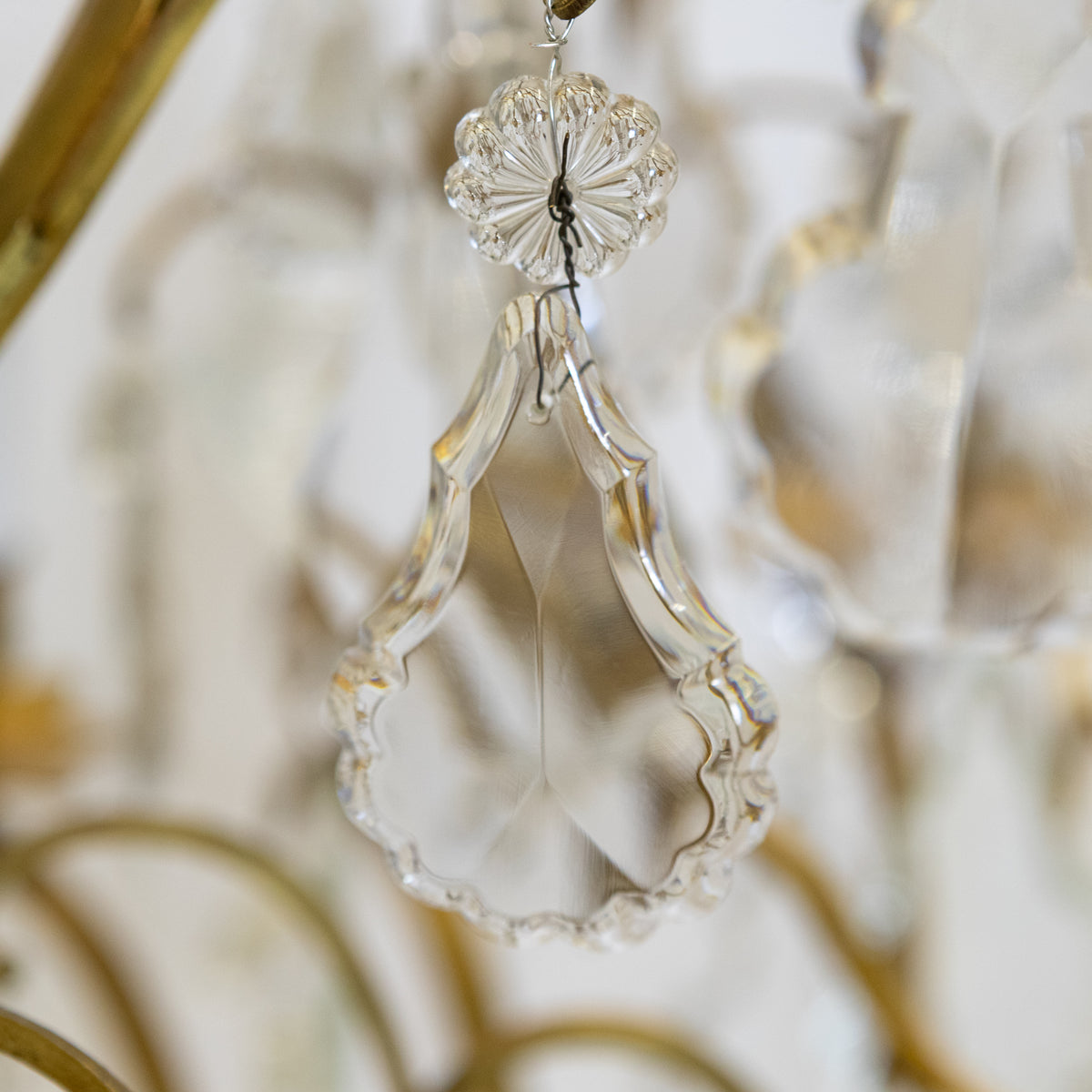 Monumental 16 Arm French Louis XV Style Gilt Brass & Crystal Chandelier | The Architectural Forum