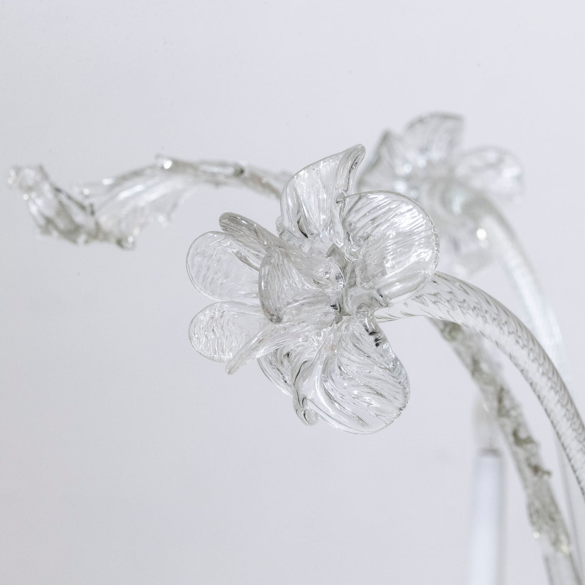 Large Murano Glass Chandelier | Venetian Light | The Architectural Forum