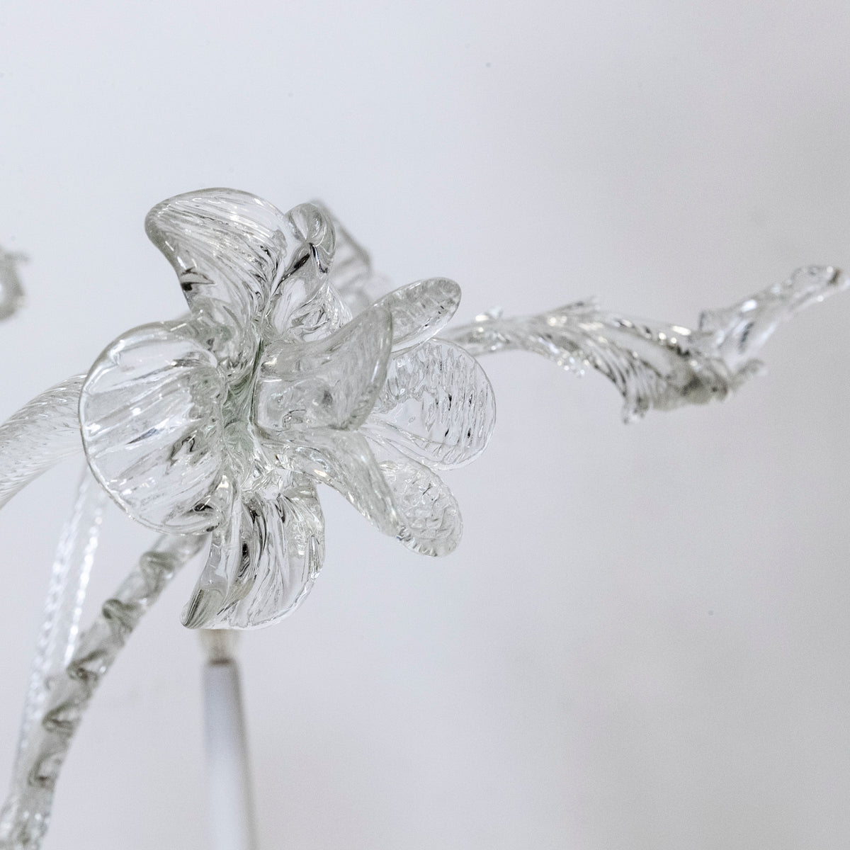 Large Murano Glass Chandelier | Venetian Light | The Architectural Forum