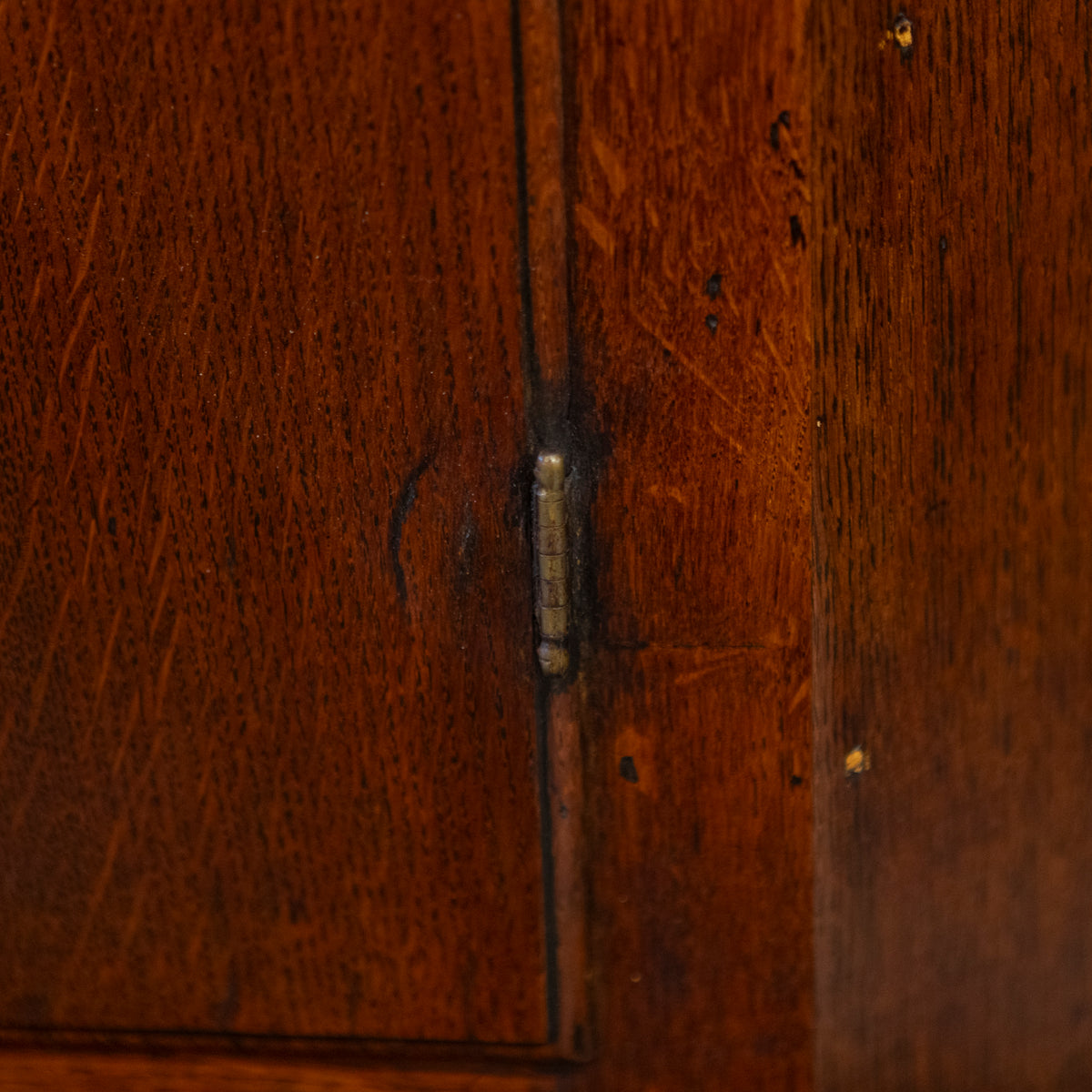 Antique Early 19th Century Oak Corner Cupboard | The Architectural Forum