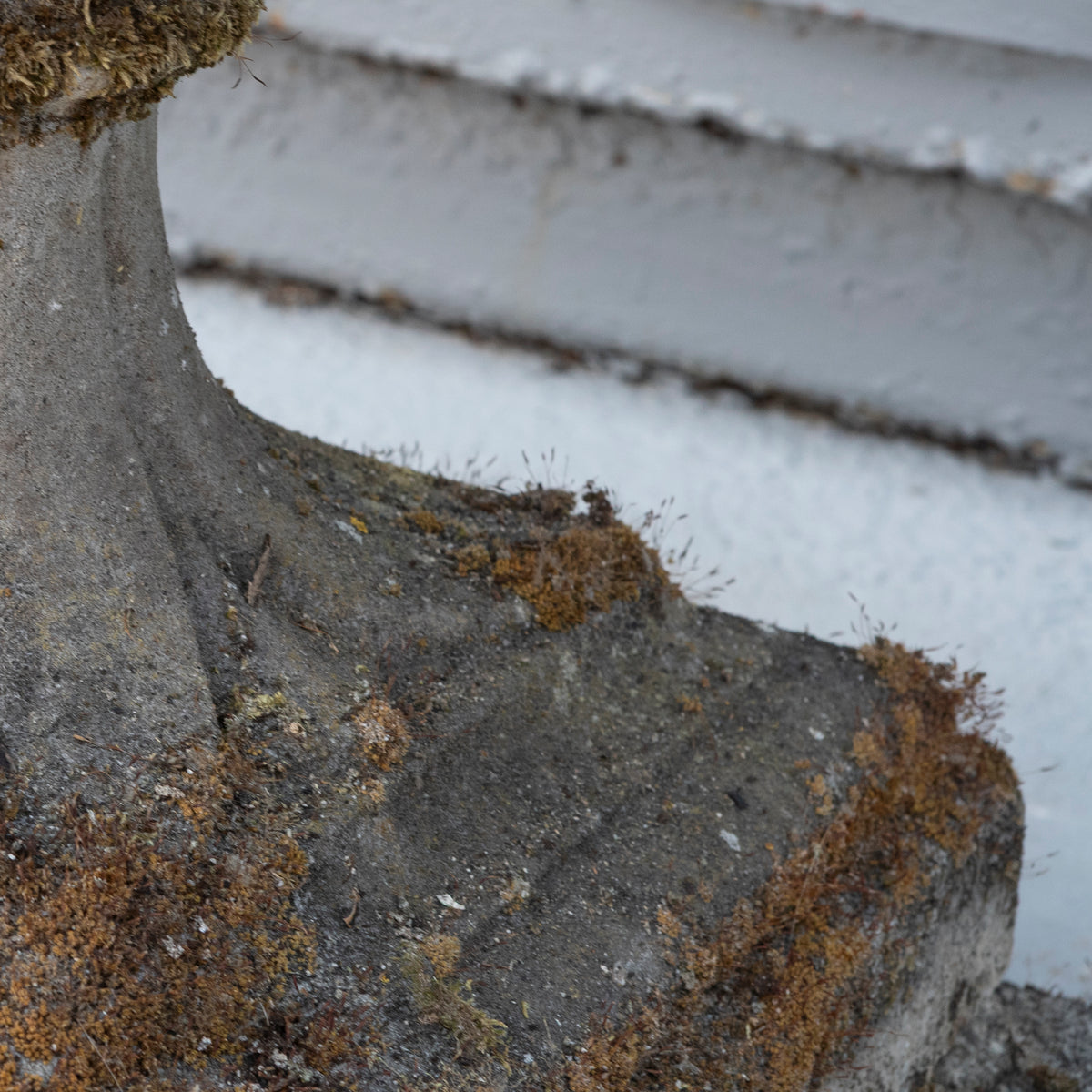 Antique Stone Urn | Garden Planter | The Architectural Forum