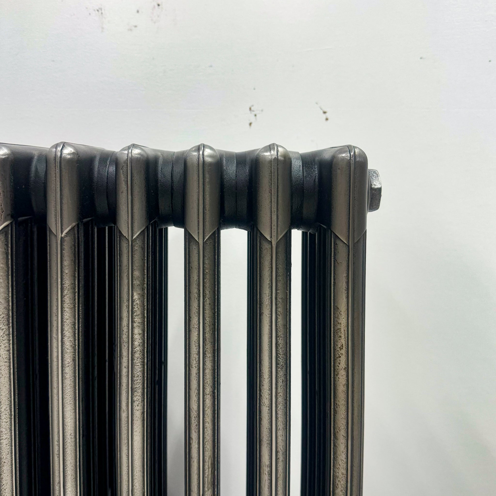 Steel Dog Radiator Polished Metal Radiators