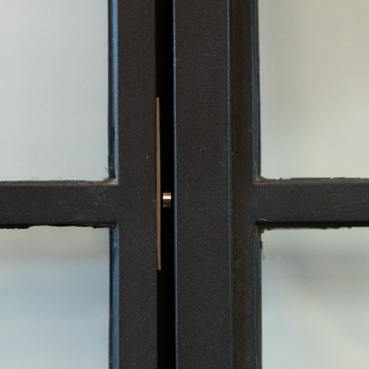 Original Crittall Double Doors with Side Panels and Frame