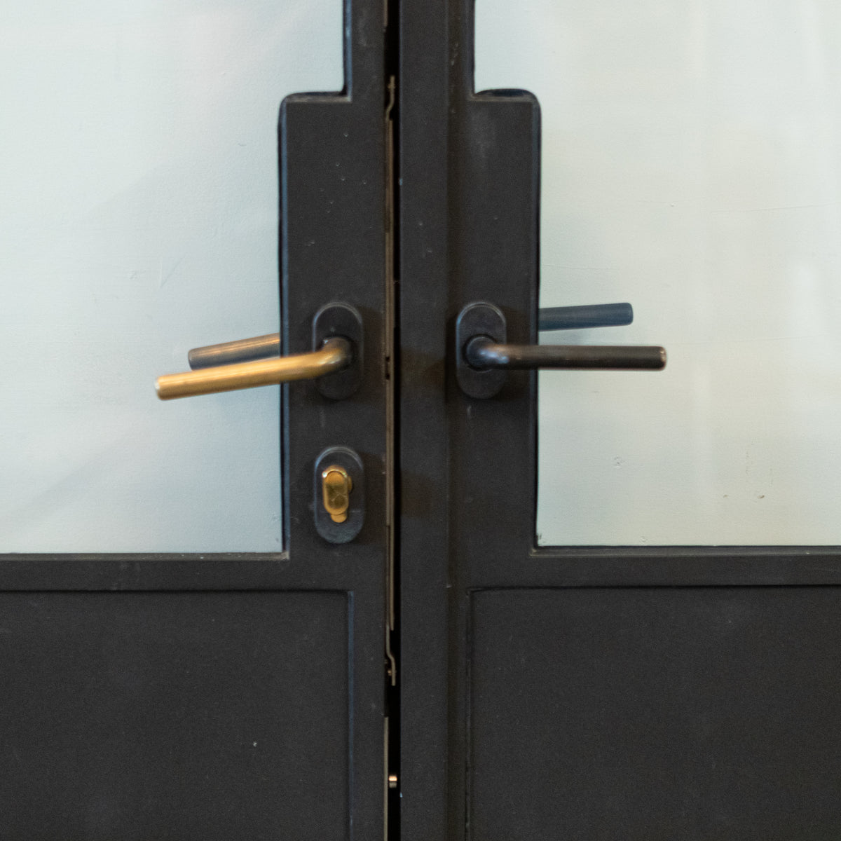 Original Crittall Double Doors with Side Panels and Frame