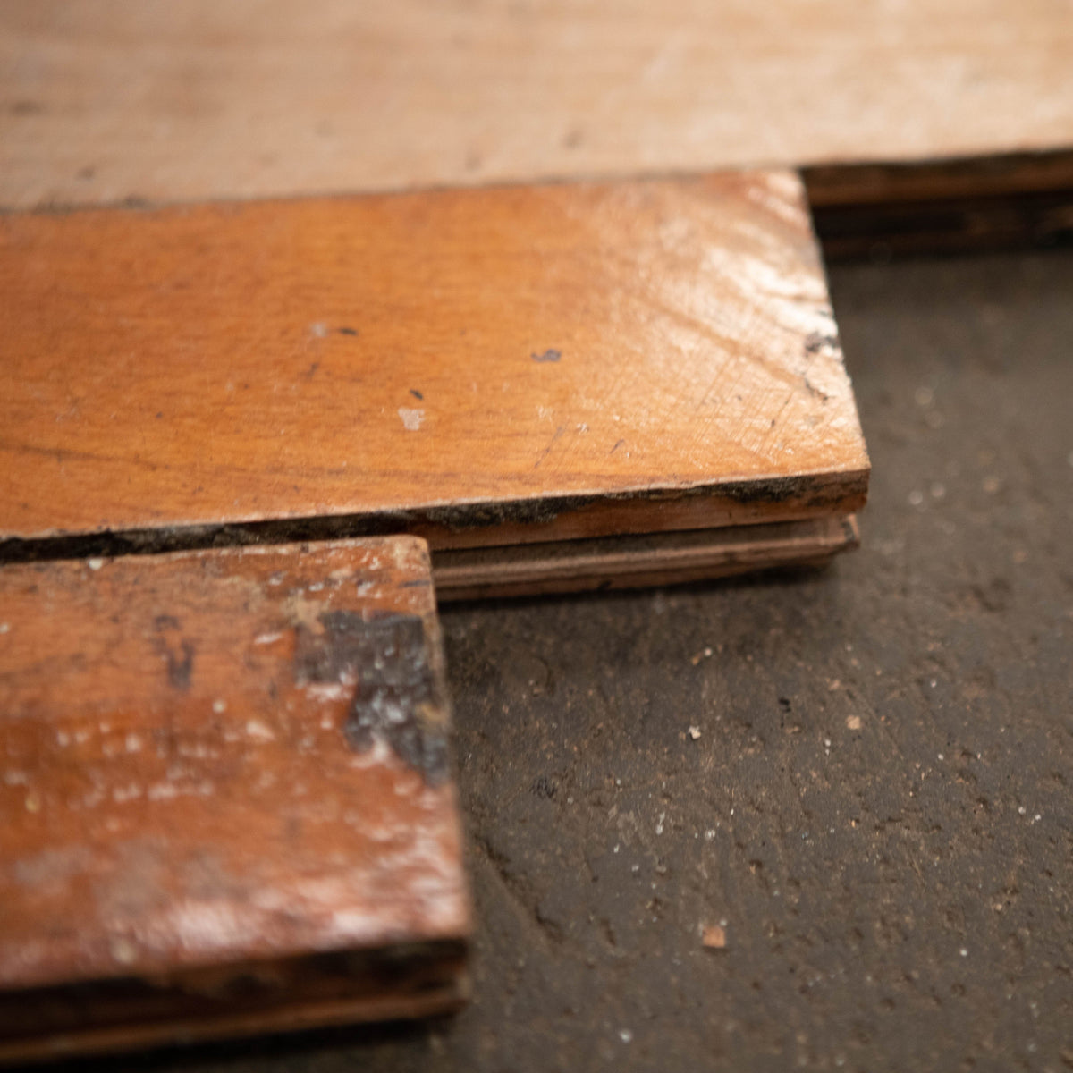 Reclaimed Beech Parquet Flooring 85m² Available | The Architectural Forum